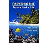 Discover The Blue - Tropical Marine Life G
