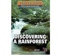 Discovering A Rainforest G