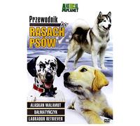 Discovery - Breed All About It [DVD] (IMPORT) (Pas de version française)