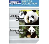 Discovery Channel - Best of Collection -- A Panda is Born / Baby Panda's 1st Year [DVD]
