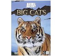 Discovery Channel - Big Cats [Dvd]