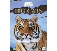 Discovery Channel-Big Cats [Edizione: Regno Unito] [Import]