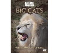 Discovery Channel [Import]