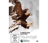 Discovery World - Alles Über Raubvögel-Ultimate Guide [Import]