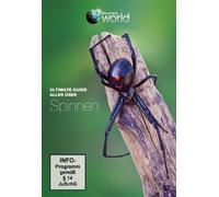 Discovery World - Alles Über Spinnen-Ultimate Guide [Import]