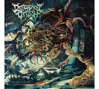 Disfigurement Of Flesh - Shrine Of Immortals [Cd]