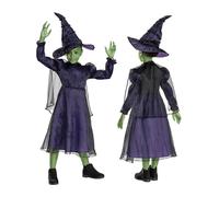 DISGUISE Wicked 167029M-EU ELPHABA DELUXE (EU), unisexe, enfants, solide, multic