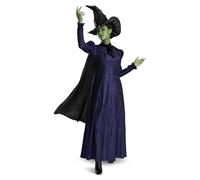 Disguise Wicked Elphaba Costume, Deluxe Official Wicked Elphaba Costume Cape and Hat for Women, Size (8-10)