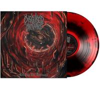 Disguised malignance - Entering The Gateways [Import]