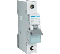 Disjoncteur 1P B 25A Icn=6000A QuickConnect MBS125