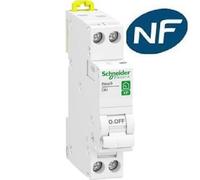 Schneider Electric Disjoncteur modulaire Resi9 R9PFC602 1P+N 2A Courbe C peignable
