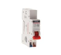 Disjoncteur 1P+N peignable bornes automatiques 2A NF Easy Connect - Thomson