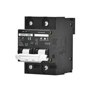 Disjoncteur 2P 100A 125A 150A DC 100V 150V 250V 500V 1000V Courbe C Protection contre les courts-circuits des panneaux solaires(100a,2P DC510-1000V)