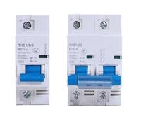 Disjoncteur 2p 12-125V 1P, protecteur Miniature for véhicule électrique, Protection 80A/100A/125A/200A/250A(1P,250A)