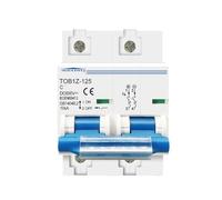 Disjoncteur 2P 125A 100A 80A DC 600V adapté au système photovoltaïque Interrupteur principal de batterie courbe C(125A)