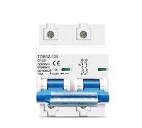 Disjoncteur 2p 125A 100A 80ADC MCB 600V Disjoncteur for système PV Courbe C Batterie Interrupteur principal Protecteurs de fuite à la terre (Size : 125A)