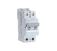 Disjoncteur 2P 610kA courbe C 40A 2 modules