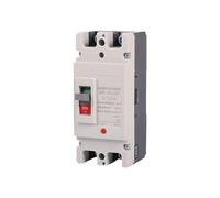 Disjoncteur 2P CC 40A63A80A100A125A160A175A200A225A250A300A Boîtier en plastique Interrupteur pneumatique CC 500 V Protection solaire PV Protection des circuits(175a)