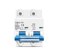 Disjoncteur 2p DC MCB 600V 125A 100A 80A for système PV Courbe C Batterie Interrupteur principal(125A)