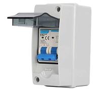 Disjoncteur 32A 1000V DC, Interrupteur de Déconnexion Solaire étanche IP65 pour Panneaux Solaires Renogy, Installation Facile