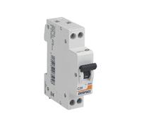 DEBFLEX - Disjoncteur 20A Phase + Neutre 3KA - Module Coupe-Circuit - Certifié NF - Installation dans Tableau Electrique - Gris