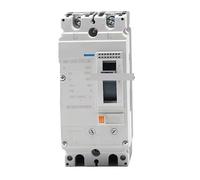 Disjoncteur à boîtier moulé NM8NDC 1P 2P 3P 4P DC MCCB, interrupteur de protection de moteur for énergie solaire photovoltaïque 160A 250A(2P DC MMCB,160A)