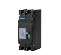 Disjoncteur à boîtier moulé solaire 2P 3P DC MCCB 320A, protection contre les surcharges, interrupteur de protection de batterie(2P 1000V DC,160A)