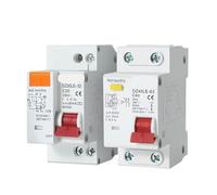 Disjoncteur À Courant Résiduel DZ40LE-63 1P+N 230V 50Hz Avec Protection Contre Les Surcharges 6kA Capacité De Coupure 30mA RCBO Pour La Gestion Des Circuits Électriques Résidentiels 20A-63A(6A)