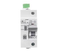 Disjoncteur à réenclenchement automatique sur Rail Din GRD9L-R GYM9 1P 6KA MCB, dispositif de réenclenchement automatique, 1 pièce(-MCB-40A,GRD9L-R-AC220V)