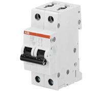ABB Disjoncteur miniature S202-B6, 2 pôles, type B, capacité de coupure 6/10 kA, courant de 6 A (2CDS252001R0065)