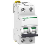 Disjoncteur ACTI9 iC60N 2P courbe C 63A - SCHNEIDER ELECTRIC - A9F77263