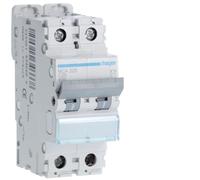 Disjoncteur Automatique 2 Pôles 25 A 6 Ka Courbe C 2 M. Din Hager MCA225