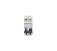 Disjoncteur automatique miniature 2P 63A Courbe C Gris