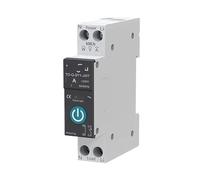 Disjoncteur avec mesure 63A 1P, télécommande sur rail, module de minuterie d'application de durée de vie(With metering,25A)