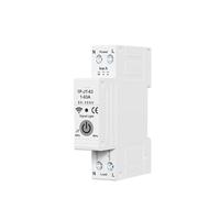 Disjoncteur avec protection de mesure 63 A, télécommande, protection contre les surintensités et les surtensions, compteur kWh, relais temporisé