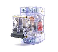 Disjoncteur bipolaire DZ47-63 16-63 A, boîtier transparent, rail DIN 230/400 V, boîte de distribution, 1 pièce(32A)