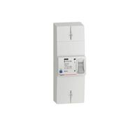 Legrand Disjoncteur de Branchement 401006 Bipolaire 2P 60A 500mA Sélectif