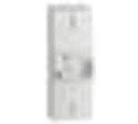 Legrand 401006 Disjoncteur de Branchement Enedis Bipolaire Différentiel, 500mA, Sélectif Intensité 60A