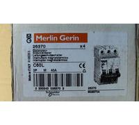 DISJONCTEUR C60L 25kA 3P M 40A ( D40 ) MERLIN-GERIN 26370