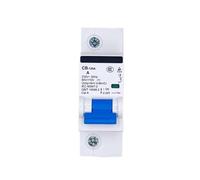 Disjoncteur CB-125A DC 1P 48V Spécial Pour La Communication Des Véhicules 80A 100A 125A Composants électriques(100A)