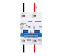Disjoncteur CC 2P 100A 125A 150A 200A 250A 12V 24V 36V 48V 60V 72V 96V 120V(100A)