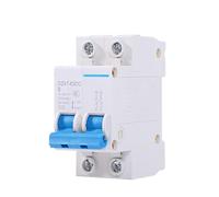 Disjoncteur CC 2P for véhicule 12 V 24 V 48 V 125 V CC 150 A 200 A 250 A Interrupteur pneumatique(2P20A)