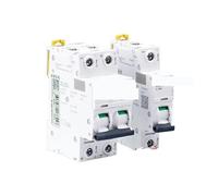 Disjoncteur CC IC65N-DC 1P 2P Interrupteur d'air C65N-DC C10A 16A 20A 63A Idéal pour la protection des circuits Performance stable (1P, 63A)