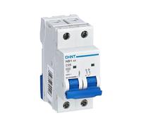 DISJONCTEUR CHINT 2P 25A 6KA NB1-63 51209