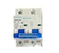 Disjoncteur DC 1P/2P 12V 24V 36V 48V 60V 72V 96V 120V, mini isolateur 100A 125A 150A 200A 250A, adapté à la batterie d'onduleur solaire(2P,125A)