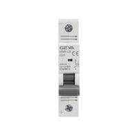 Disjoncteur DC MCB 80A 100A 125A 6KA 1p 250VDC Mini disjoncteur Din Rail DC disjoncteur Gym9-125 commutateur d'air (Color : 100a, Size : 1 Pole 250VDC)