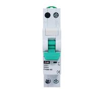 Disjoncteur DC miniature Disjoncteur miniature DPN 1P+N 6A 10A 16A 20A 32A 40A 230V AC, mini-circuit 6KA, rail DIN, interrupteur d'air domestique miniature(FXB8-40 MCB,10A)