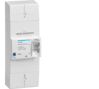 Disjoncteur de branchement - bipolaire - Instantané - 60A - HDA260F - Hager