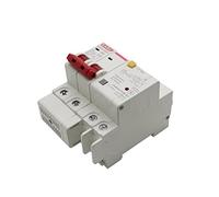 Disjoncteur de courant résiduel 10A 2P SPD avec surtension de surcharge avec protecteur de fuite MCB de Protection contre la foudre commutateur d'air