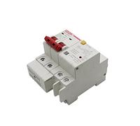 Disjoncteur de courant résiduel 10A 2P SPD avec surtension de surcharge avec protecteur de fuite MCB de Protection contre la foudre commutateur d'air